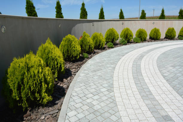 Best Concrete Paver Driveway  in Manila, AR